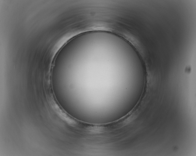 X0000111651236200907171536
