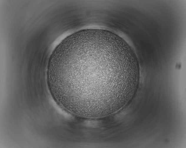 X0000111651237200907171536