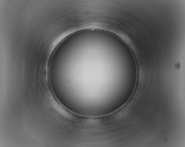 X0000111651238200907171536