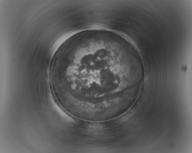 X0000111651239200907171537