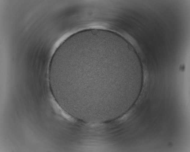 X0000111651240200907171537