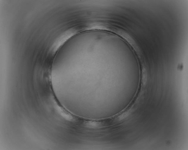 X0000111651241200907171537