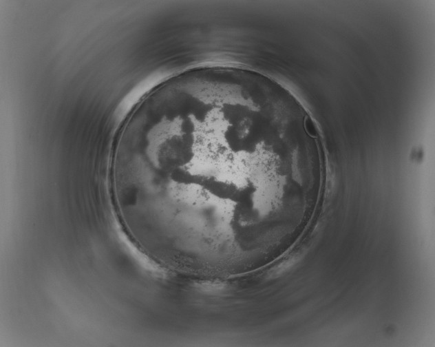 X0000111651245200907171537