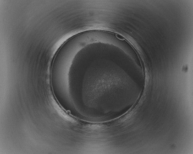 X0000111651246200907171537