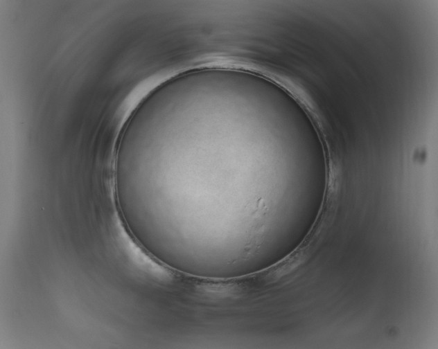 X0000111651247200907171537