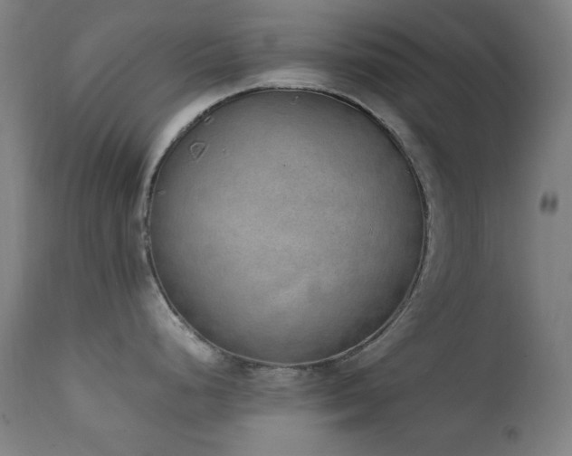 X0000111651248200907171537