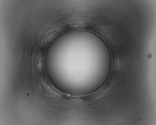 X0000111651250200907171536