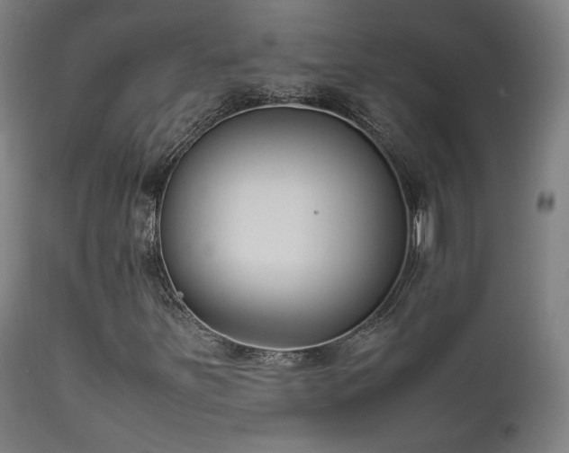 X0000111651251200907171536