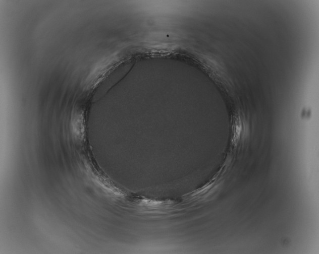 X0000111651252200907171536