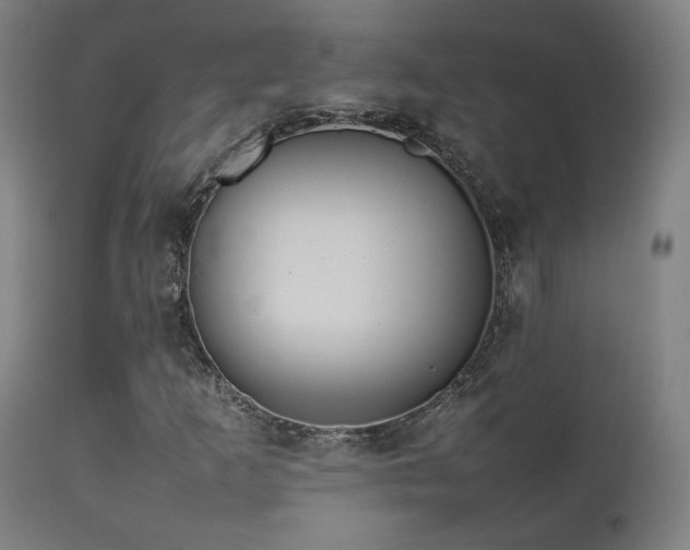 X0000111651253200907171536