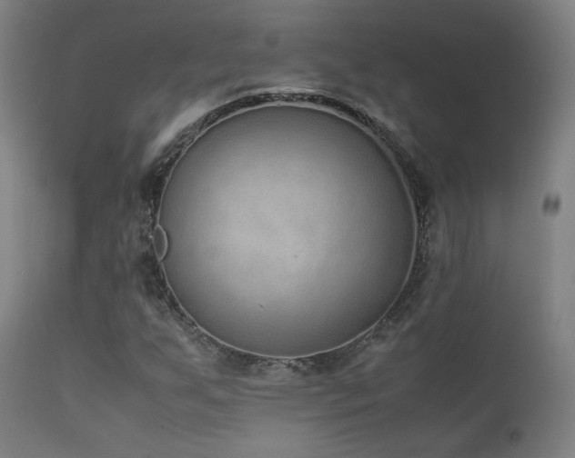 X0000111651255200907171536