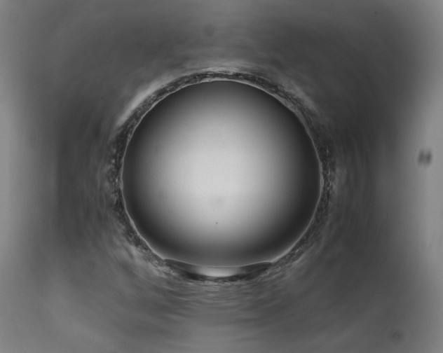 X0000111651256200907171536