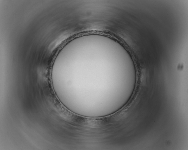 X0000111651258200907171536