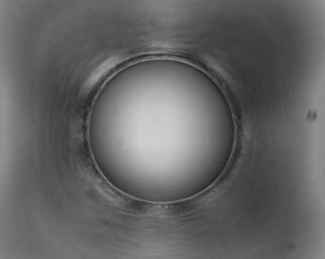 X0000111651259200907171536