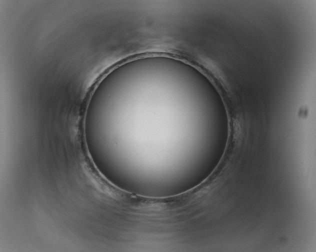 X0000111651260200907171536