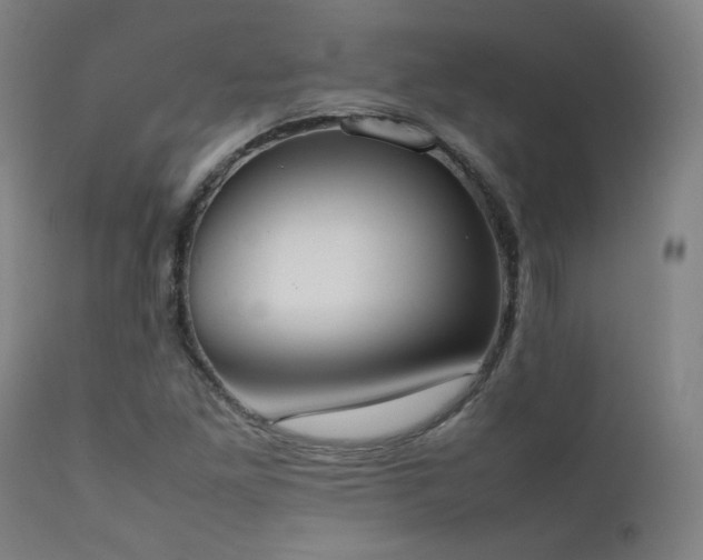 X0000111651261200907171536