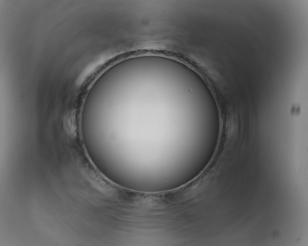 X0000111651262200907171536