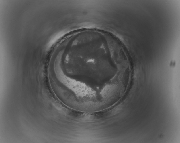 X0000111651263200907171536