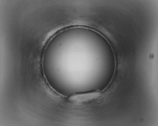X0000111651264200907171536