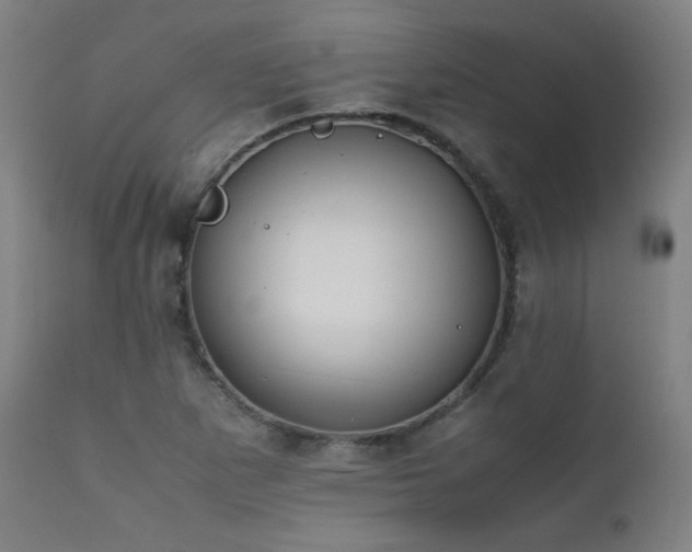 X0000111651265200907171536