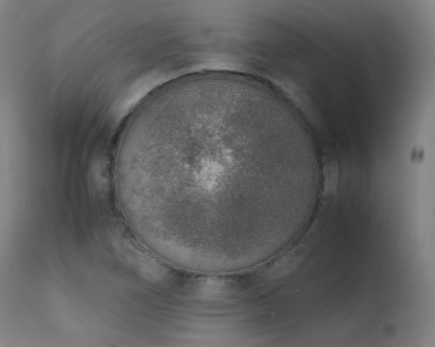 X0000111651266200907171536