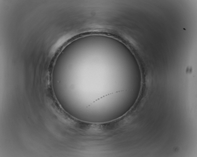 X0000111651267200907171536
