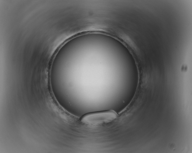 X0000111651268200907171536