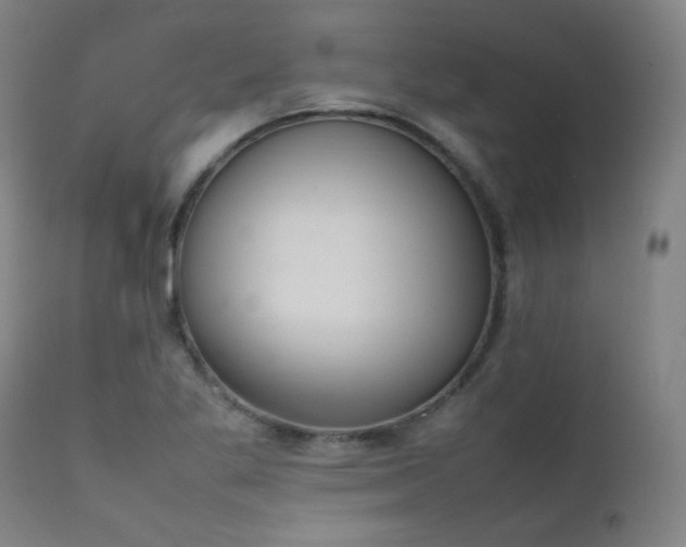 X0000111651269200907171536