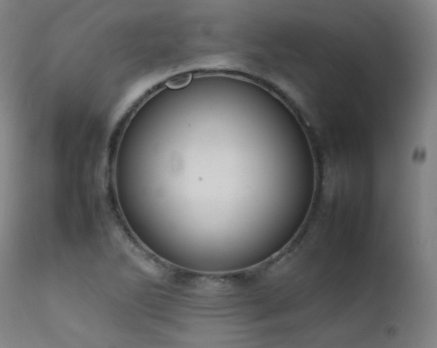 X0000111651270200907171536