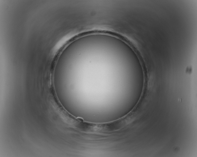 X0000111651271200907171536