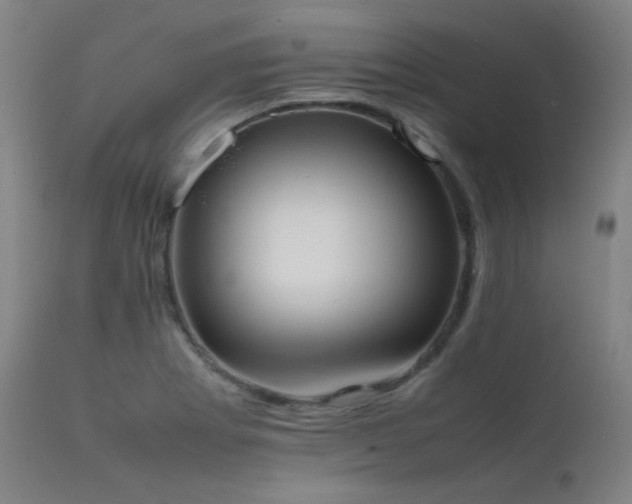X0000111651273200907171536
