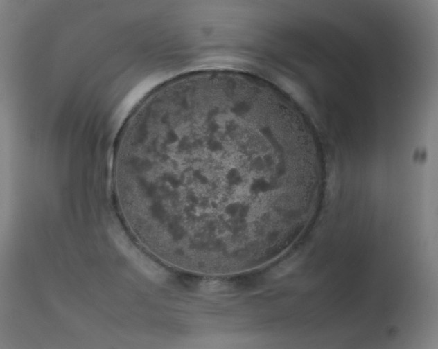 X0000111651275200907171536