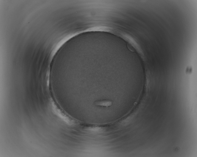 X0000111651276200907171536