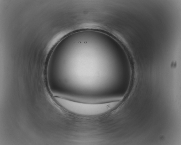 X0000111651277200907171536