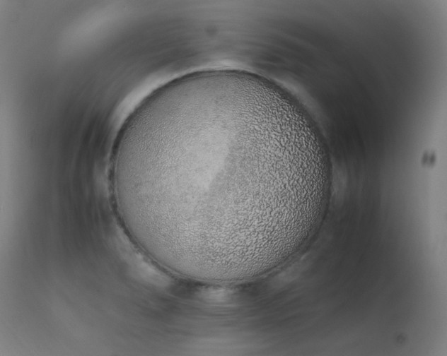 X0000111651278200907171536