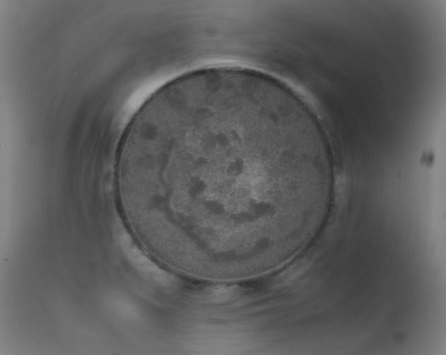 X0000111651279200907171536