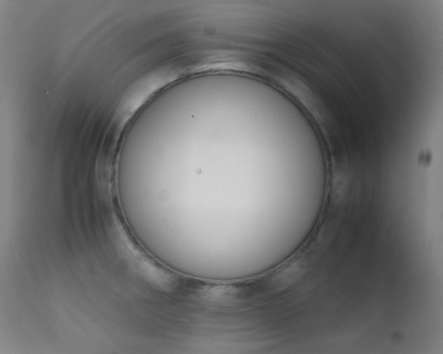 X0000111651282200907171535