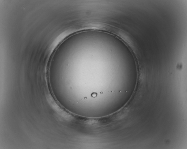 X0000111651283200907171535