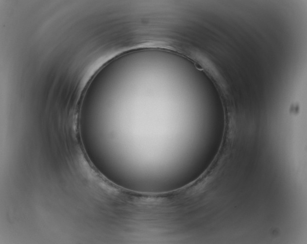 X0000111651284200907171535