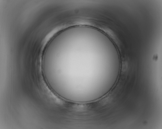 X0000111651286200907171535