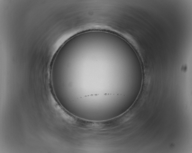 X0000111651287200907171535