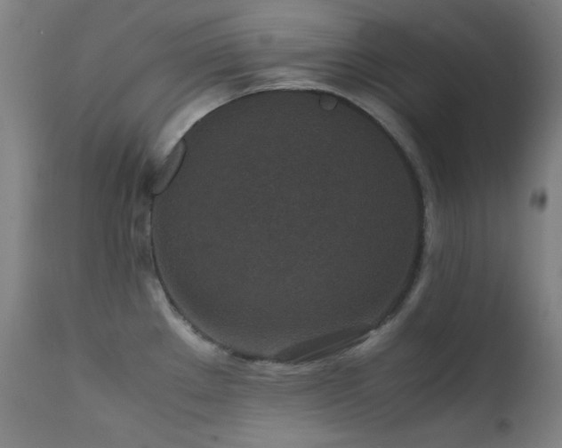 X0000111651289200907171535