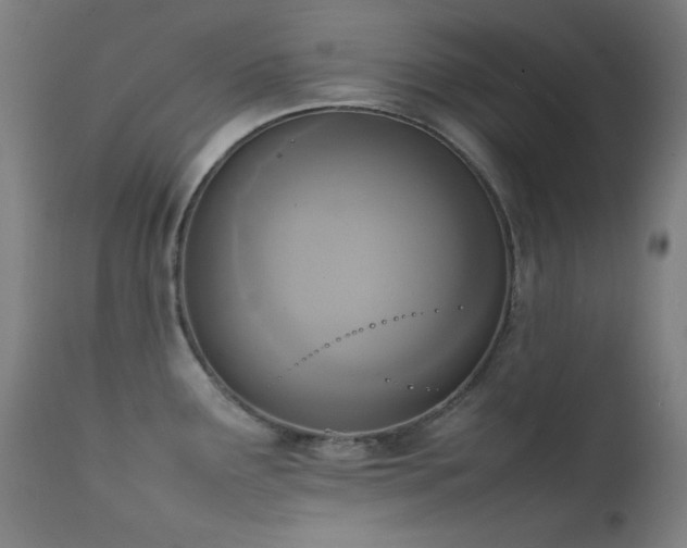 X0000111651291200907171535