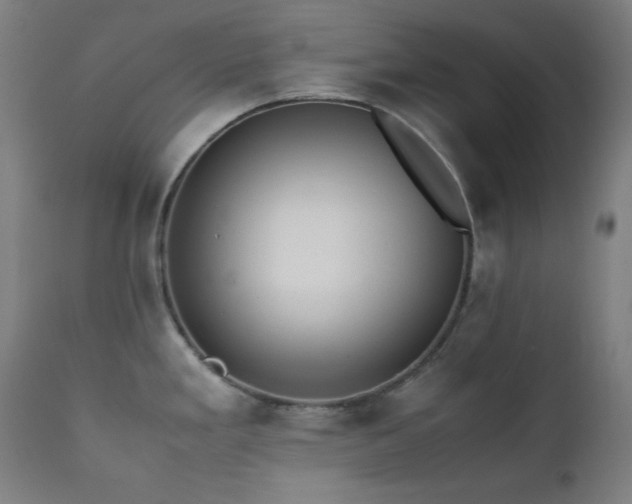 X0000111651293200907171535