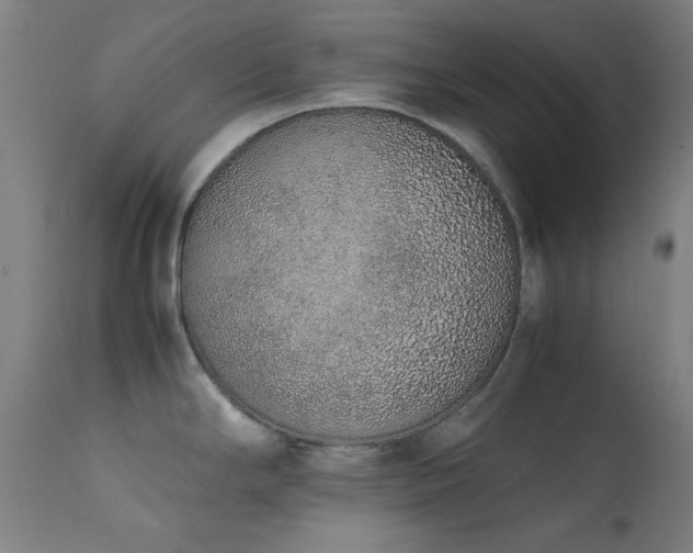 X0000111651294200907171535