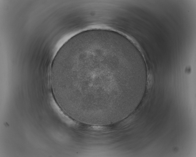 X0000111651295200907171535