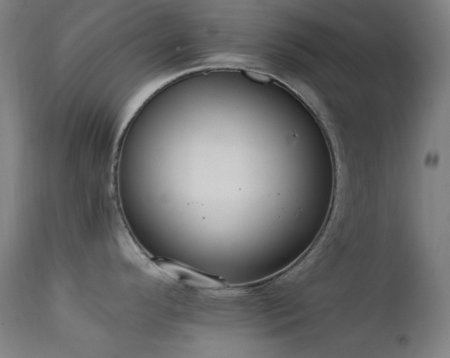 X0000111651296200907171535