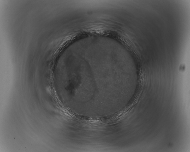 X0000111651297200907171534