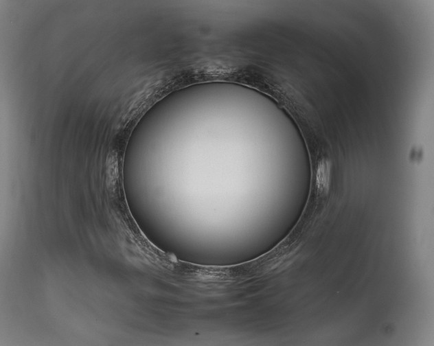 X0000111651299200907171534