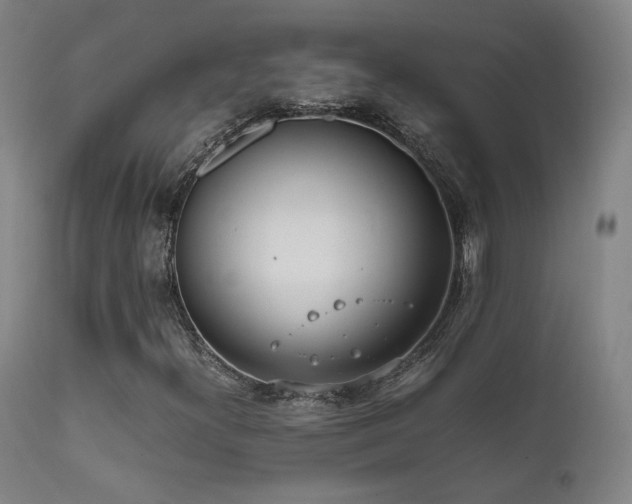X0000111651300200907171534